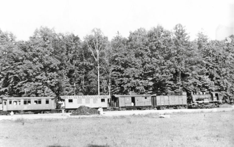 Eisenbahn „Molly“ nach Taschenberg 1902