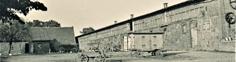 Kuh- und Schafstall 1932-33